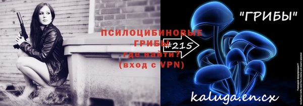 гашик Алексеевка