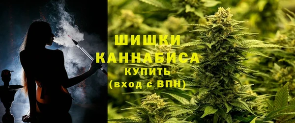 spice Алексин