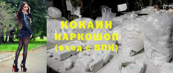гашик Алексеевка