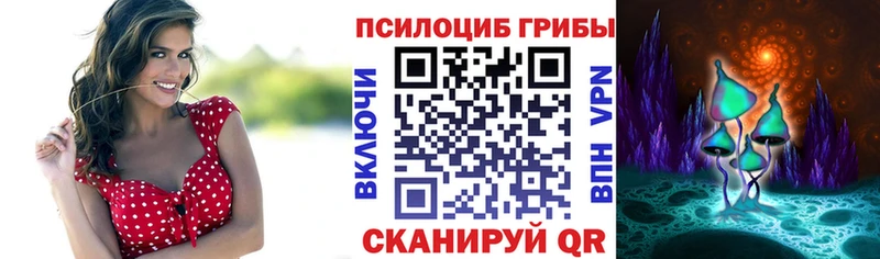 Псилоцибиновые грибы прущие грибы  купить  цена  Шацк 